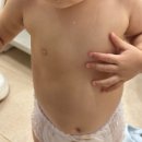 그린맘 | 아기보습오일 : 베비루미 그린 모이스처 오일 맘가이드 A등급 솔직 후기