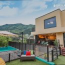 플레이독애견풀빌라 이미지