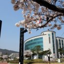 신한대학교 이미지