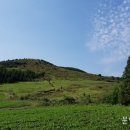 한라식당 이미지