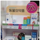 디스이즈약국 이미지
