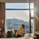 남산 하누리 행복공 | [중구-장충동] 휴식을 위해 다녀온 34주 임산부 풀만호텔 이그제큐티브룸 호캉스 내돈내산 후기