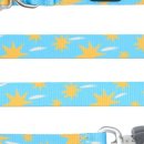 관악동물종합병원 이미지