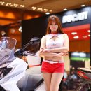 차정아 카카오 검색결과