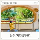 칠보 생태환경체험교육관 교육실 | 전주 아이랑 실내 가볼만한곳 자연생태관
