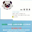 스카이카서비스 이미지