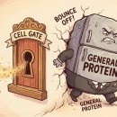 세화약품(주) | [득모 시크릿 6탄] 고기 1kg 먹어도 꽝! 머리카락 만드는 기적의 숫자 '500 달톤'