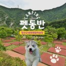 정선군생태체험학습장캠핑장 티스토리