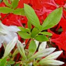 꽃피는 봄날 이미지