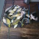 장자골낚시터 이미지