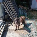 선남초등학교 이미지