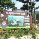 야생화테마펜션 이미지