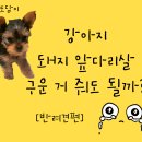 소화다리앞 이미지