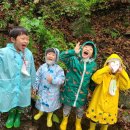 하늘숲 어린이집 이미지