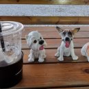 봉수산숲펜션 이미지