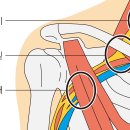 곽한의원 이미지
