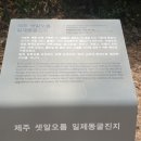 제주 셋알오름 일제동굴진지 이미지