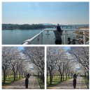 출렁다리주차장 | 남한강 출렁다리 포토스팟·주차장｜여주 신륵사 탐방 후기