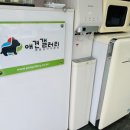 애견갤러리강아지분양애견샵