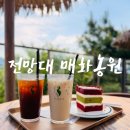 양산신-1019 | [양산 원동] 낙동강 뷰가 환상적인 ‘전망대 매화농원’(아덴 원동점) 솔직 방문 후기