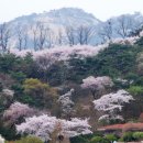 와룡공원길 네이버블로그