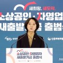 기업인 장관을 가로막는 장벽들 이미지