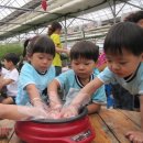 임진어린이집 이미지