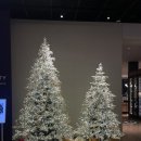 제이오토서비스 | 그래비티 조선 판교 비즈니스 디럭스 후기｜침대·방음·위치 솔직 리뷰 (내돈내산)