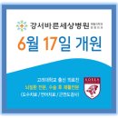 강서바른세상병원 이미지