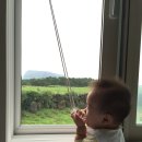 오조리bnb 이미지