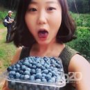 보라농장2 이미지