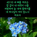 ♧시편 42편1~11절(고라 자손의 마스길, 인도자를 따라 부르는 노래) 이미지