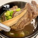 낙원 | 진주 갈비탕맛집 낙원 솔직후기
