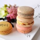 먹을시즌 이미지