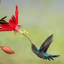 동성아파트(남) 이미지