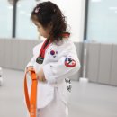 가족태권도장 이미지