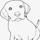 말랑말랑 이미지