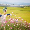 청해농장 이미지