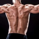 져스트 짐 이미지