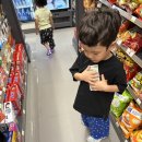 개똥이네 | 5세 책육아 그레이트북스 전집 내친구 사회공룡 개똥이네 중고 구매 후기