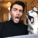 데칼코마니 이미지