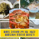 우산국식당 | 울릉도 2박3일 여행 3일차 울릉도 마지막 여행 포항으로 돌아오늘날