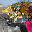 천남리 | 강릉관광지 쌍둥이동물농장 강릉 아이와 가볼만한 곳