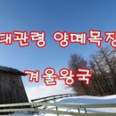 신양목장 이미지