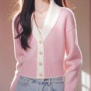 소프트P.J 이미지