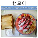 캔모아 Daum카페
