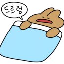 펀서프 이미지