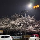경주여중 앞