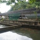 신기송어장횟집 이미지