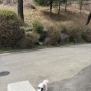 프루코&드루와 네이버블로그